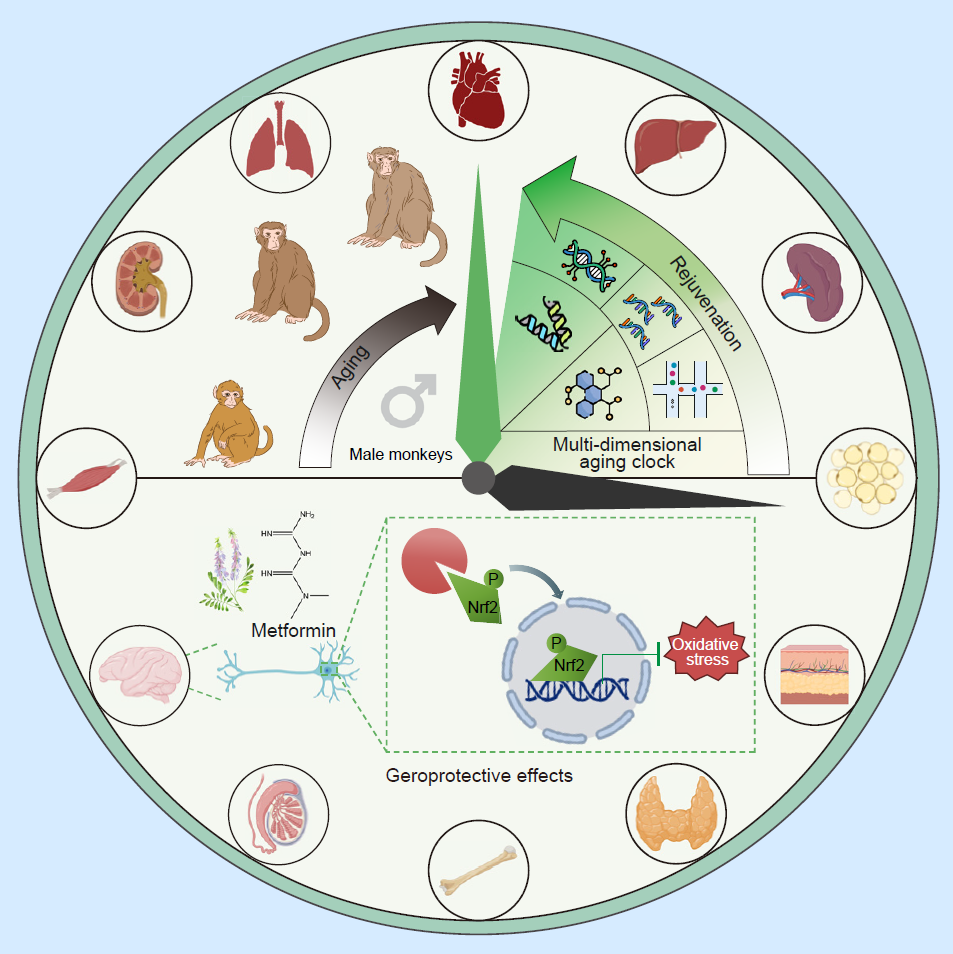 亚星游戏·yaxin222(中国官网)_亚星注册登录