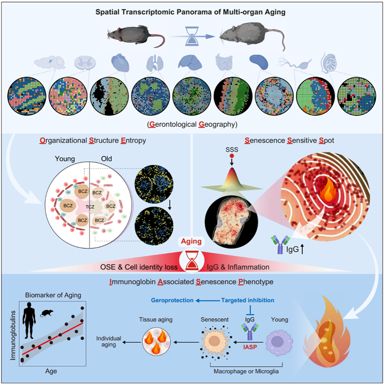 亚星游戏·yaxin222(中国官网)_亚星注册登录