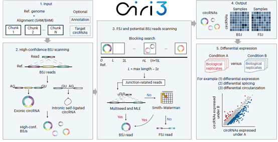 亚星游戏·yaxin222(中国官网)_亚星注册登录