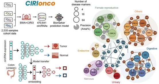 亚星游戏·yaxin222(中国官网)_亚星注册登录