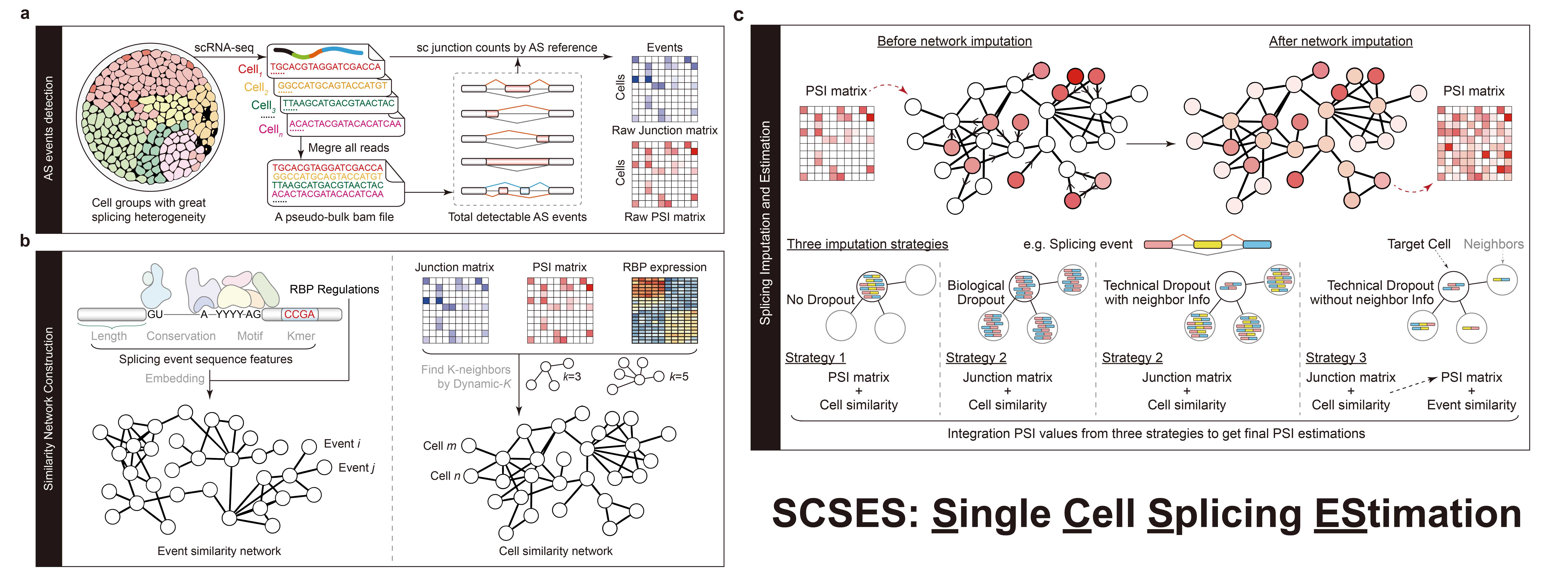 亚星游戏·yaxin222(中国官网)_亚星注册登录