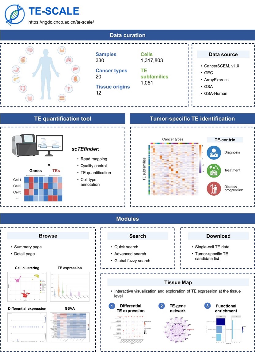 亚星游戏·yaxin222(中国官网)_亚星注册登录