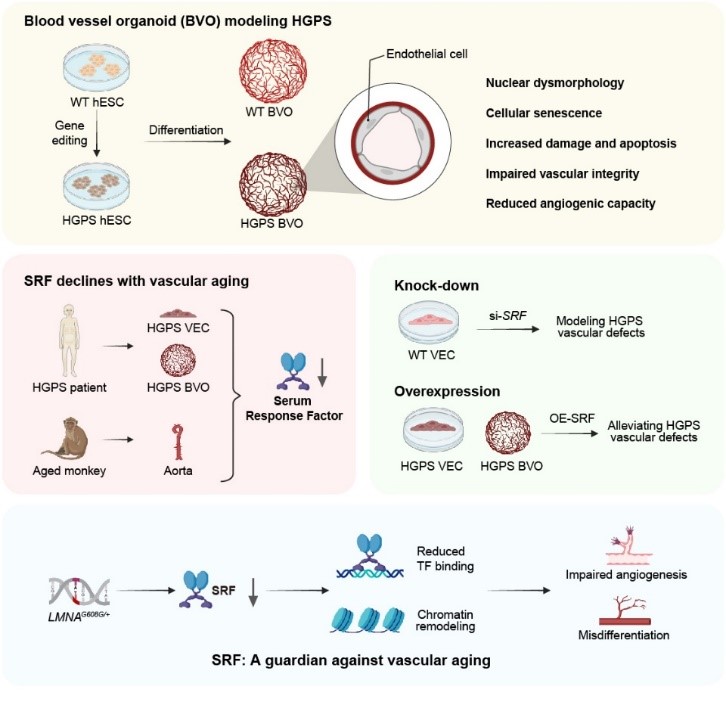 亚星游戏·yaxin222(中国官网)_亚星注册登录