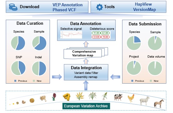 亚星游戏·yaxin222(中国官网)_亚星注册登录