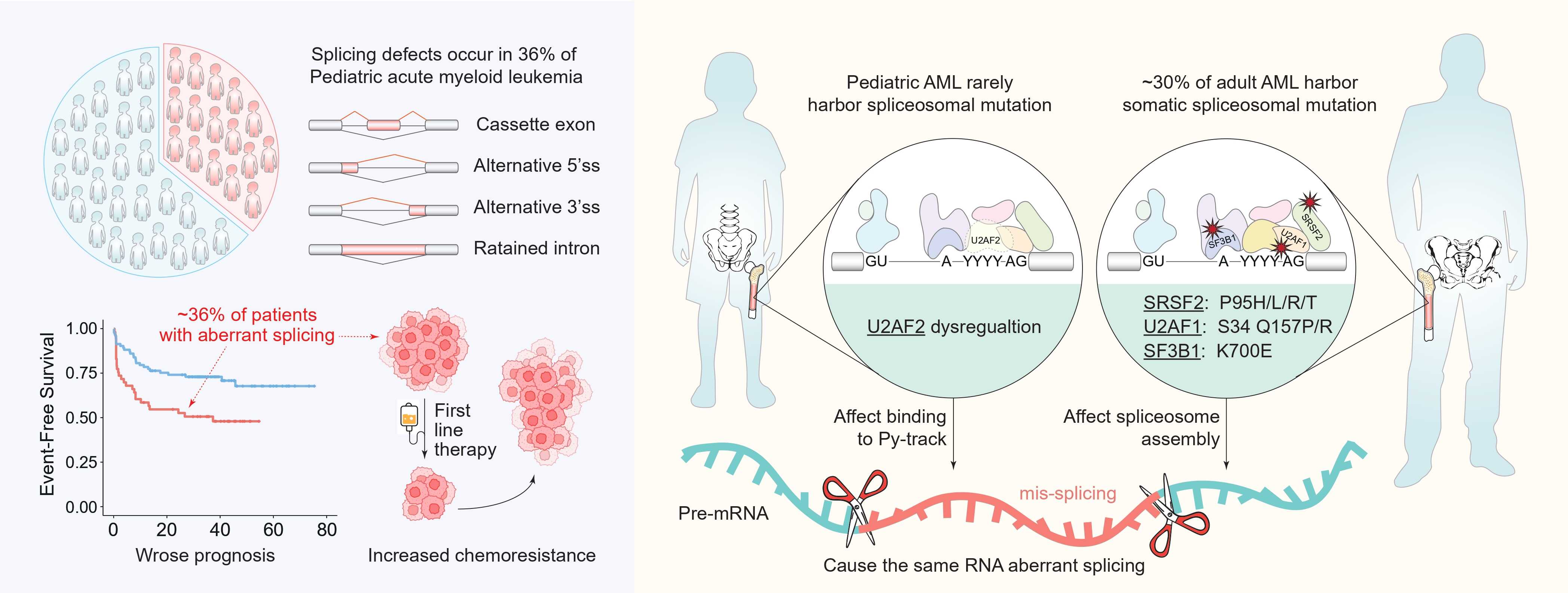 亚星游戏·yaxin222(中国官网)_亚星注册登录