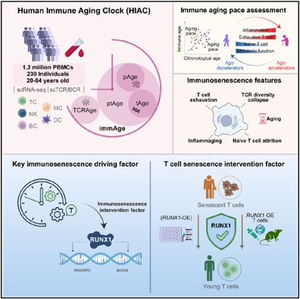 W020260415365824031493