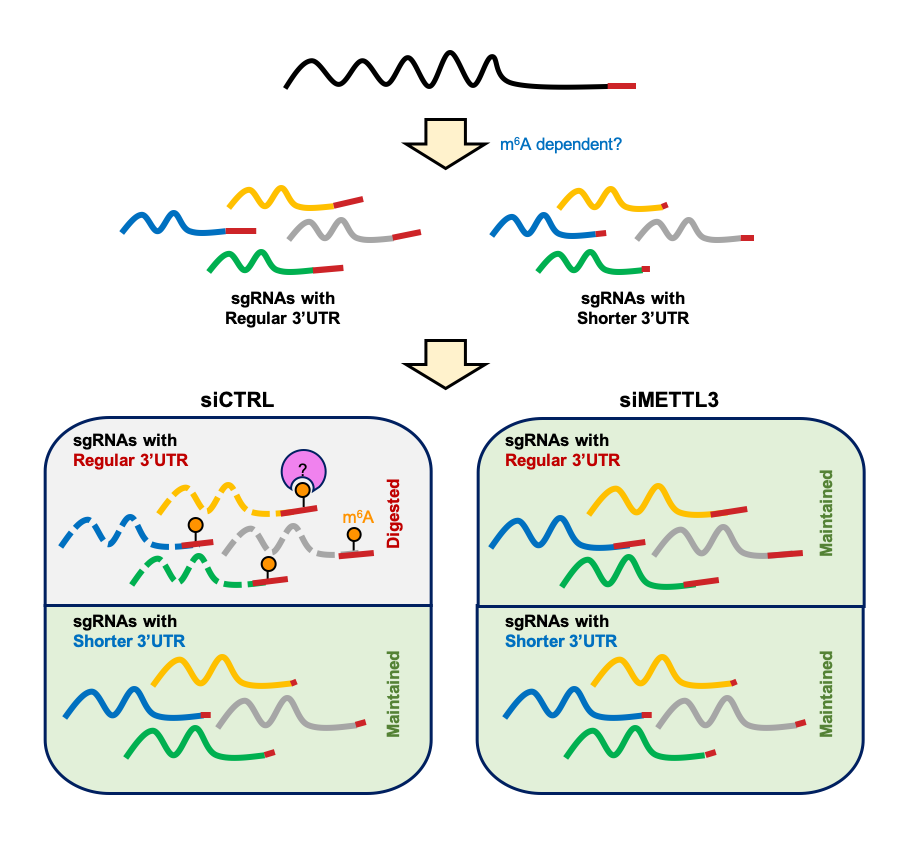 亚星游戏·yaxin222(中国官网)_亚星注册登录