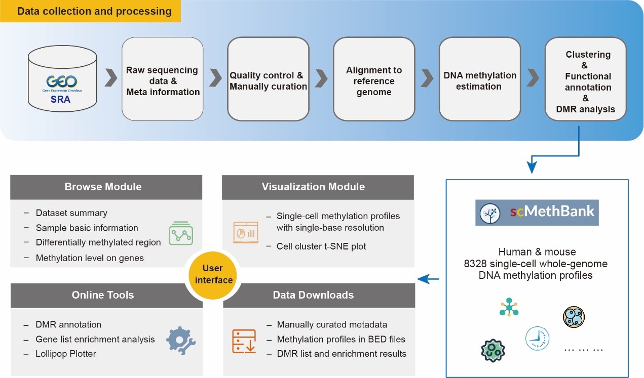 亚星游戏·yaxin222(中国官网)_亚星注册登录