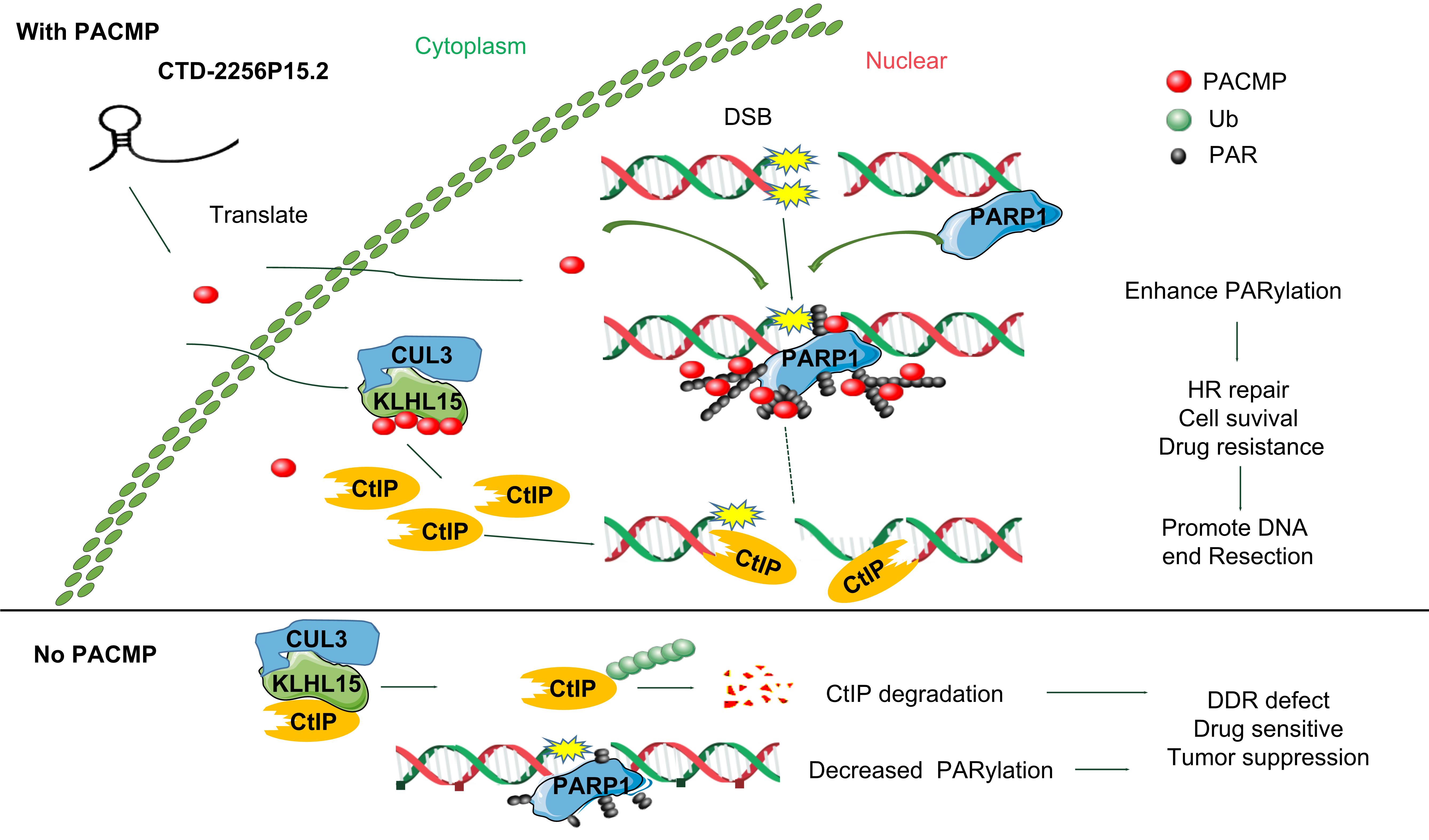 亚星游戏·yaxin222(中国官网)_亚星注册登录
