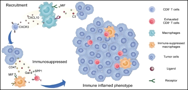 亚星游戏·yaxin222(中国官网)_亚星注册登录