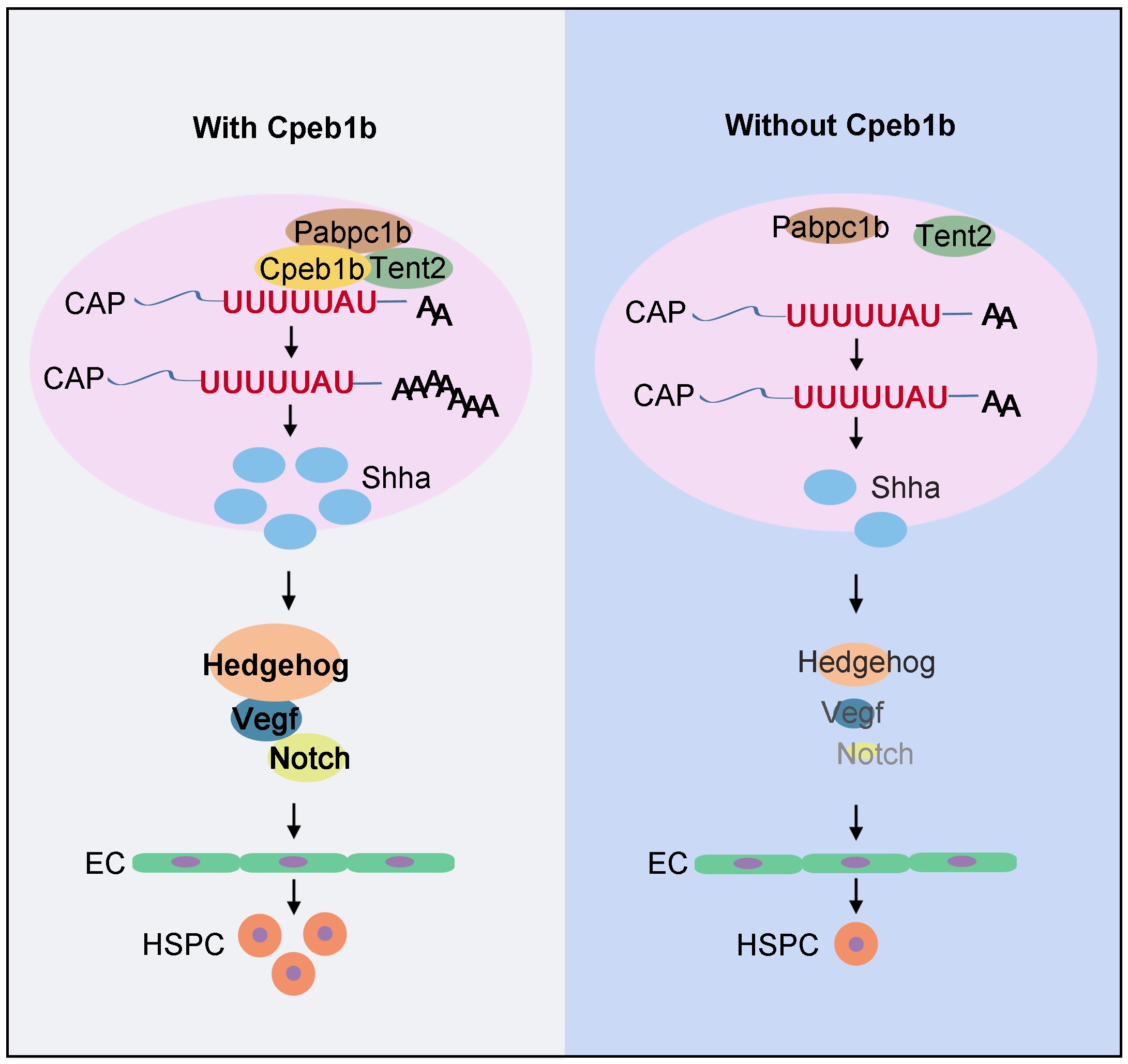 亚星游戏·yaxin222(中国官网)_亚星注册登录