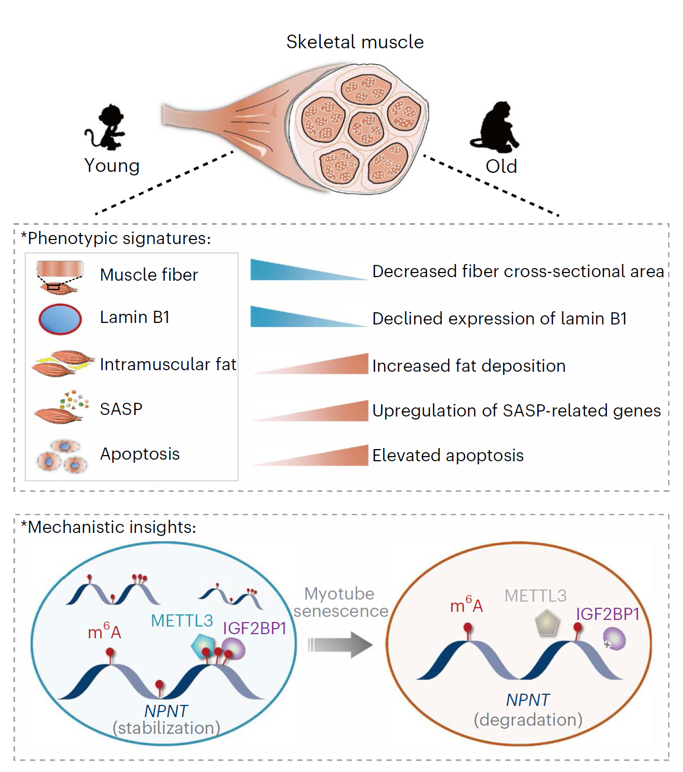亚星游戏·yaxin222(中国官网)_亚星注册登录