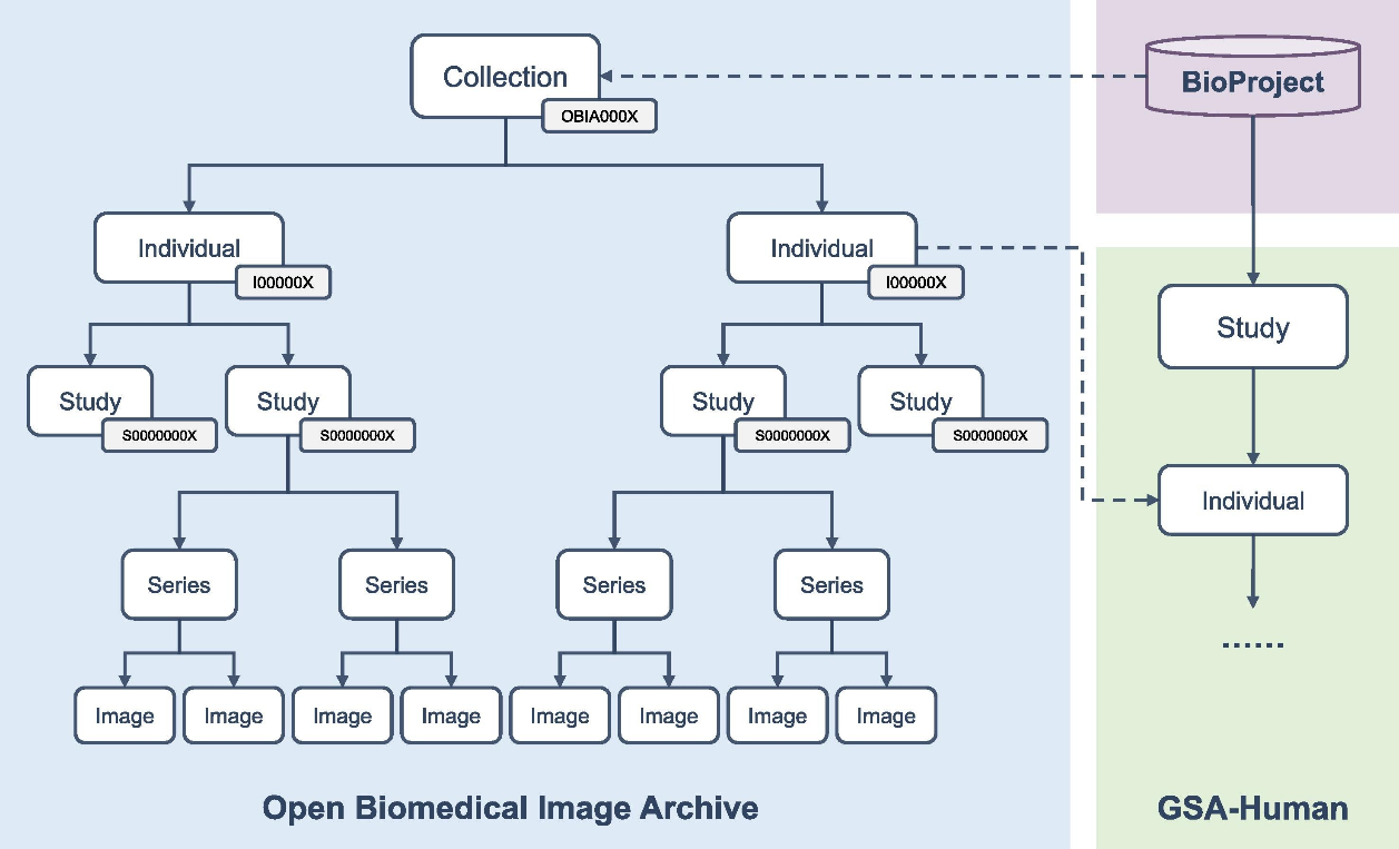 亚星游戏·yaxin222(中国官网)_亚星注册登录