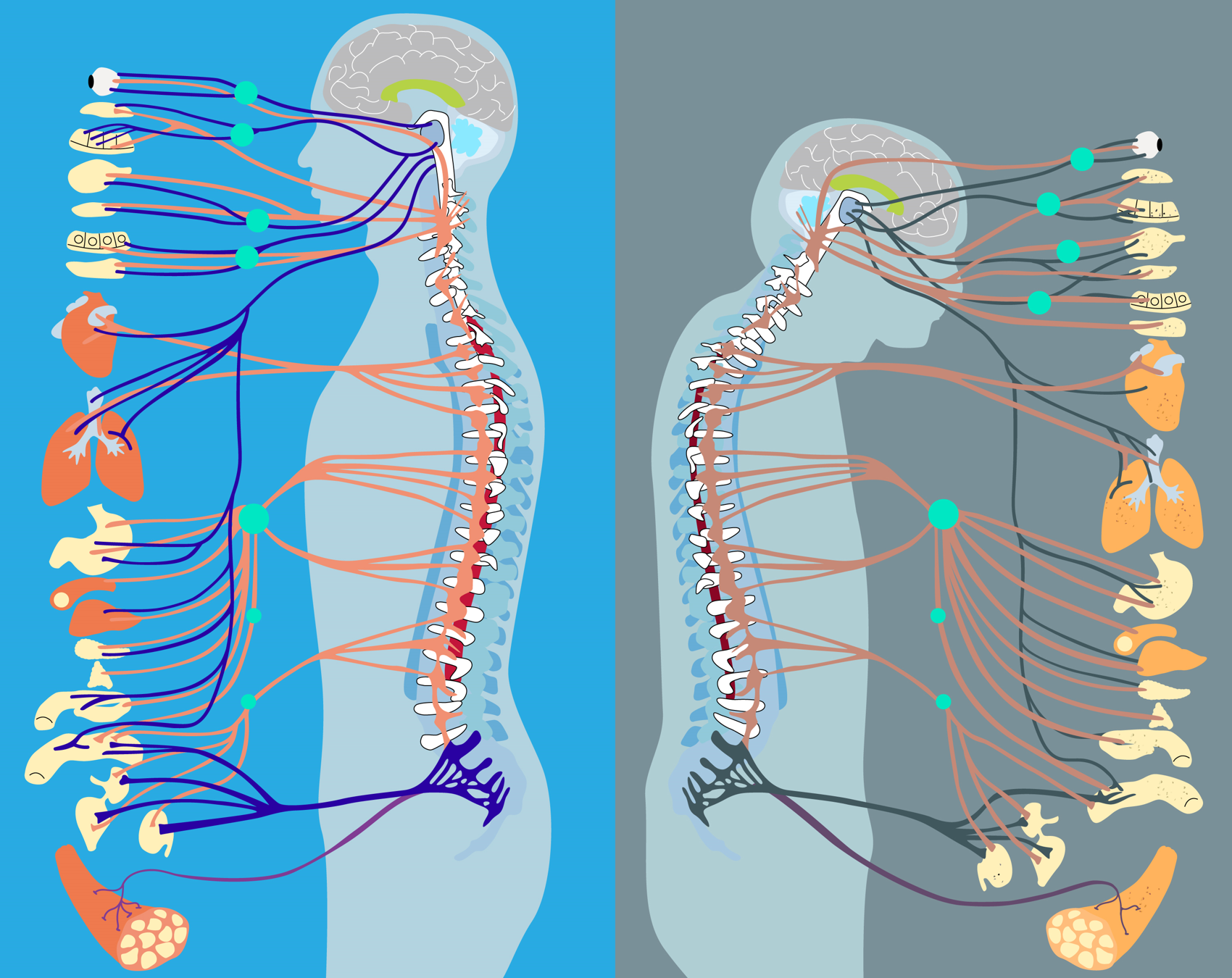 亚星游戏·yaxin222(中国官网)_亚星注册登录