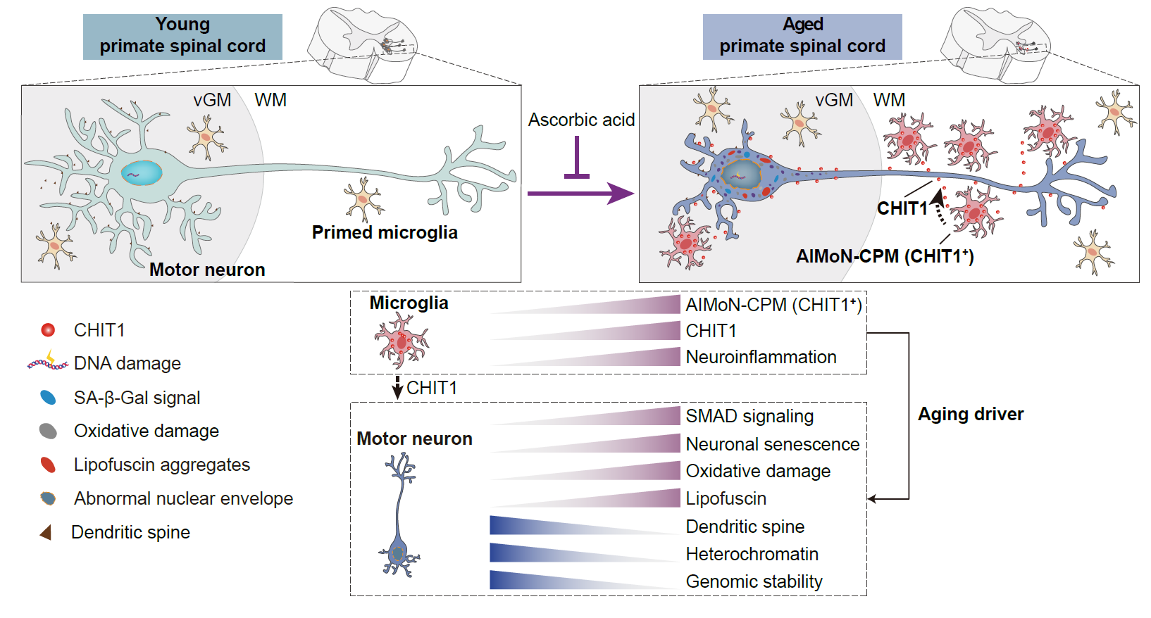 亚星游戏·yaxin222(中国官网)_亚星注册登录