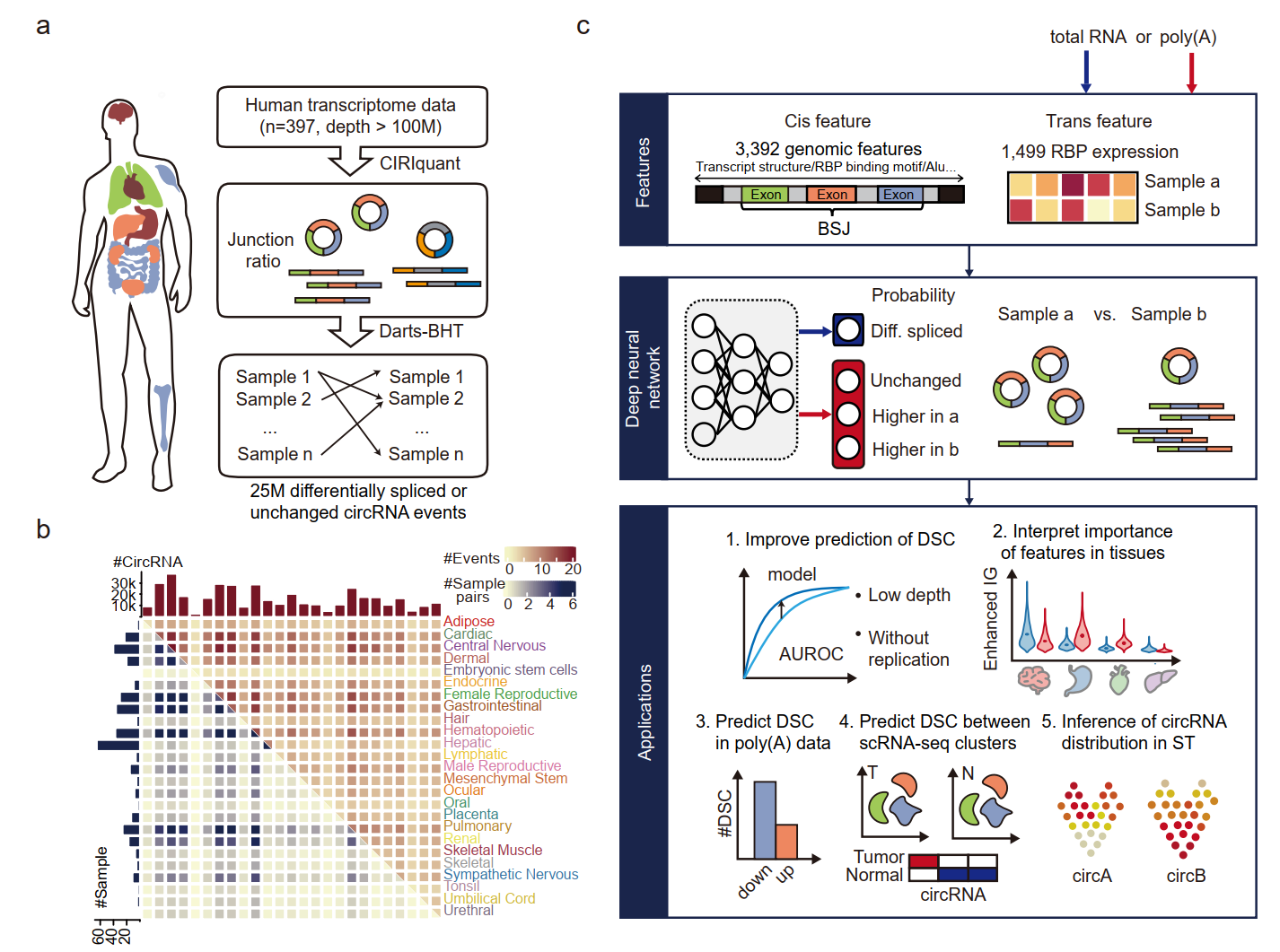 亚星游戏·yaxin222(中国官网)_亚星注册登录