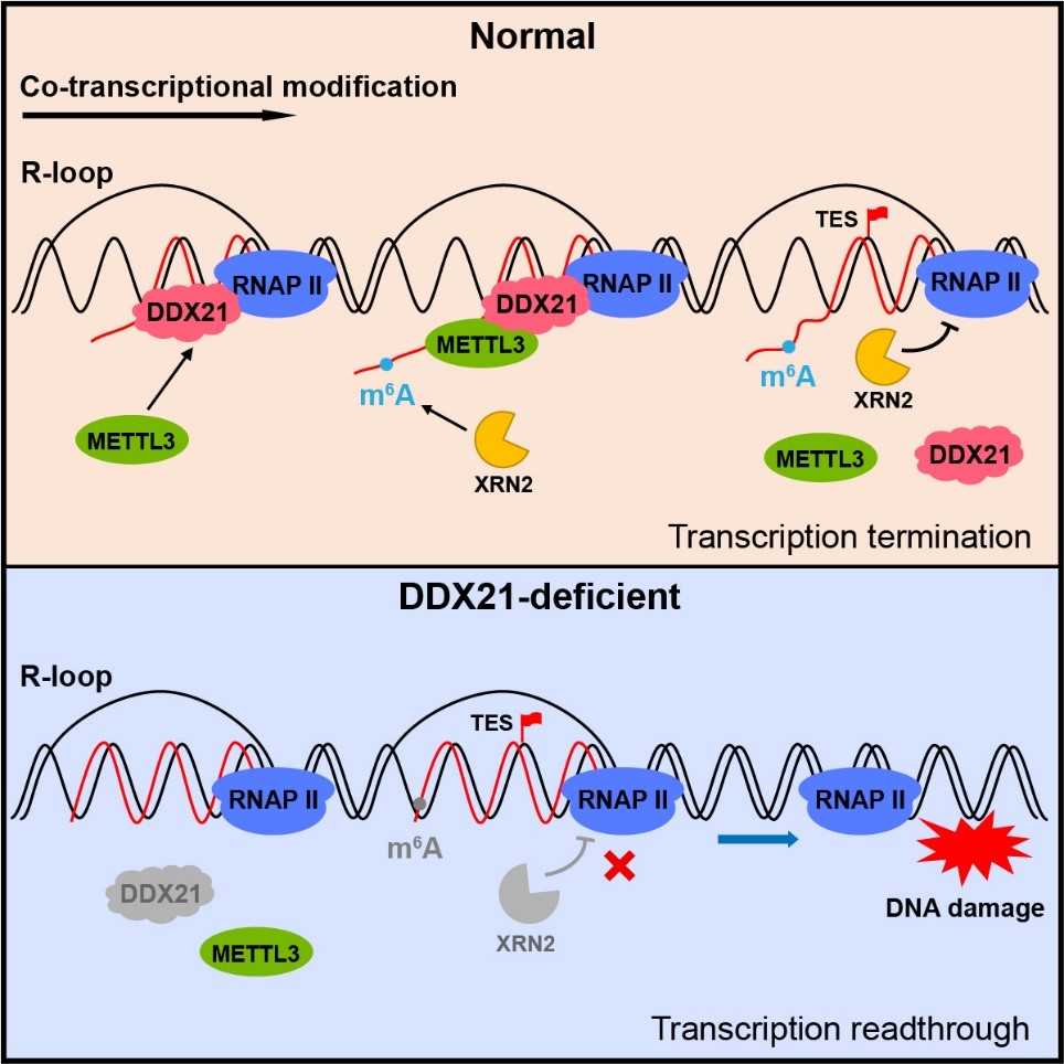亚星游戏·yaxin222(中国官网)_亚星注册登录