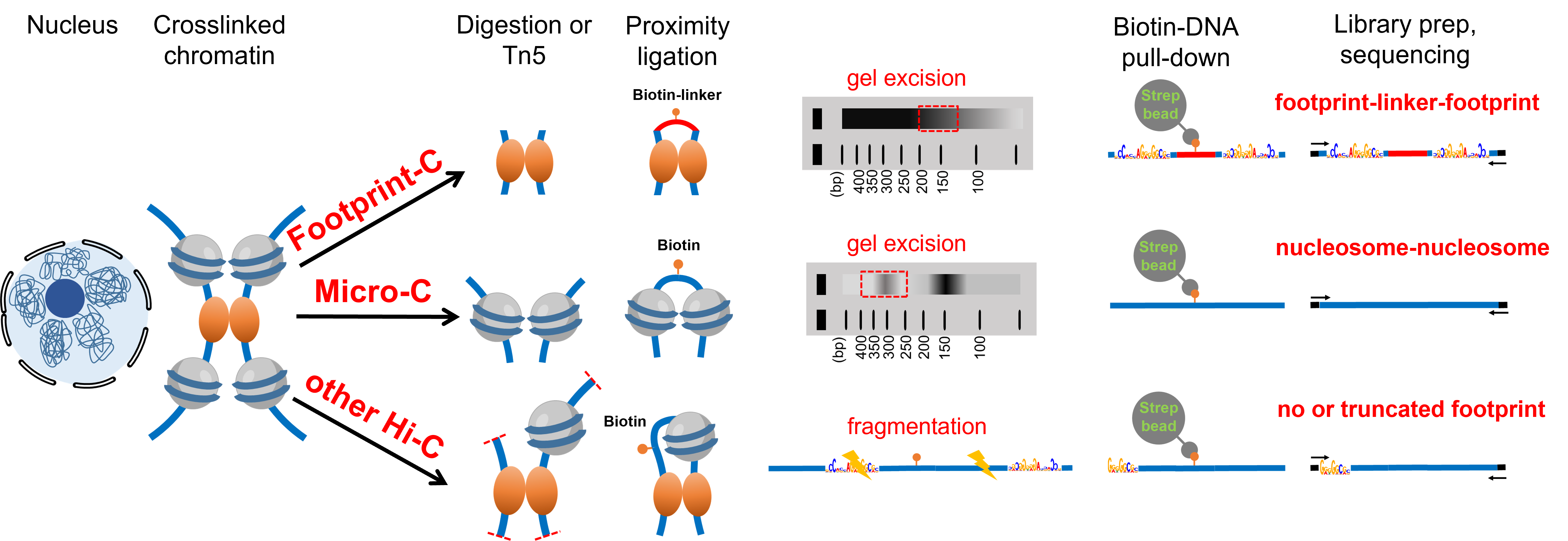 亚星游戏·yaxin222(中国官网)_亚星注册登录