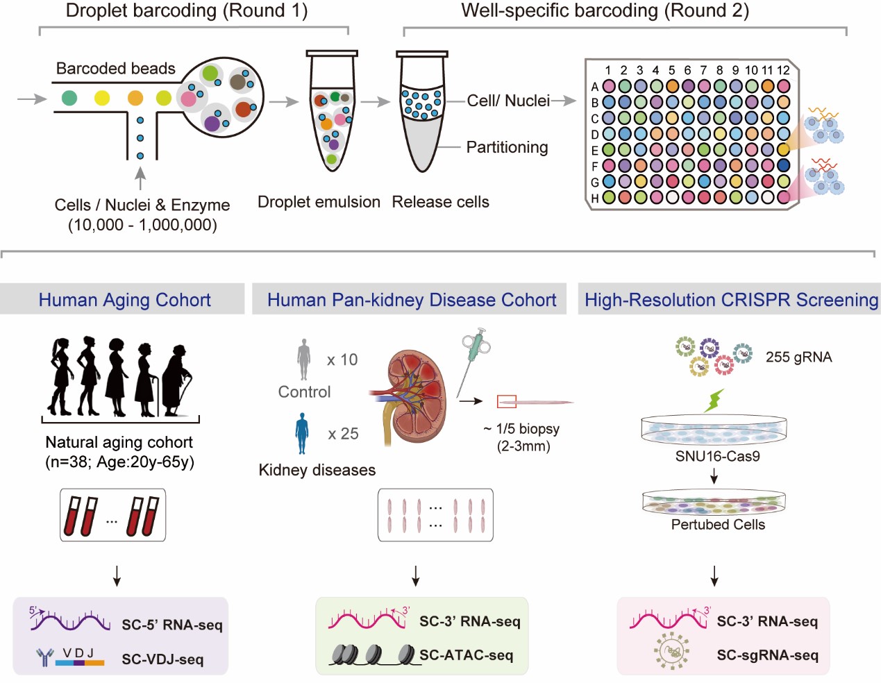亚星游戏·yaxin222(中国官网)_亚星注册登录