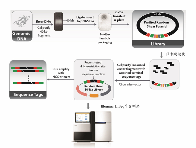 亚星游戏·yaxin222(中国官网)_亚星注册登录